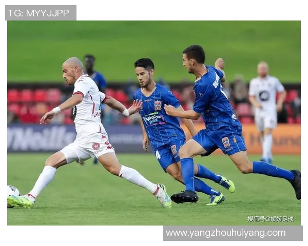 惠灵顿凤凰与中部海岸队员激战正酣精彩瞬间回顾与分析 惠灵顿凤凰与中部海岸队员激战正酣精彩瞬间回顾与分析