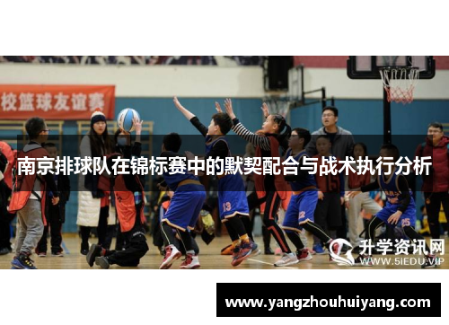 南京排球队在锦标赛中的默契配合与战术执行分析